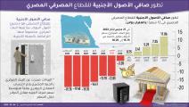 أزمة العملة الأجنبية وصافي أصول القطاع المصرفي المصري (العربي الجديد)