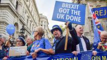متظاهرون بريطانيون يطلبون العودة للاتحاد الأوروبي، أكتوبر الماضي (فوك فالسيتش/Getty)