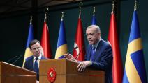 أردوغان وكريسترسون في مؤتمر صحافي مشترك في أنقرة، 8 نوفمبر 2022 (مراد كولا /الأناضول)