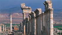 أعمدة أثرية في أفاميا السورية؛ مسقط رأس الفيلسوف، 1990 (Getty)