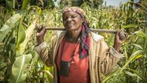 الزراعة في أفريقيا/Getty