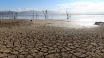 جفاف بالقرب من سد سيدي البراق في مدينة نفزة بولاية باجة في تونس (جهاد عبد اللاوي/ رويترز)