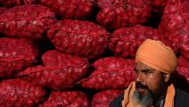 مزارع بصل هندي يترقب تحقيق أرباحاً عالية من محصول العام (getty)