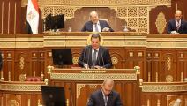 مجلس الشيوخ المصري (وسائل التواصل)
