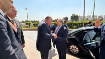 وزير خارجية النظام السوري لدى وصوله القاهرة وفي استقباله نظيره المصري (العربي الجديد)