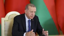 الرئيس التركي رجب طيب أردوغان (الأناضول)