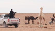 يفاقم الجفاف أزمة التصحر في ليبيا (عبد الله مرعي/الأناضول)