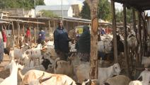 سوق الأضاحي في الصومال (الأناضول)