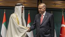 الرئيس التركي رجب طيب أردوغان والرئيس الإماراتي محمد بن زايد (الأناضول)