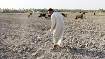 جفاف وزراعة في العراق (حيدر الحمداني/ فرانس برس)