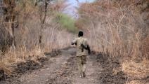 البيئة بلا حولَ وسط حرب السودان (عبد المنعم عيسى/ فرانس برس)