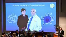 المجرية كاتالين كاريكو والأميركي درو وايسمان الفائزان بجائز نوبل للطب 2023 (جوناثان ناكستراند/ فرانس برس)
