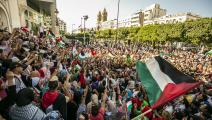 دعم شعبي واسع للقضية الفلسطينية في تونس (ياسين جايدي/الأناضول)