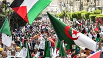 من مظاهرات الجزائر العاصمة تأييداً للشعب الفلسطيني (Getty)