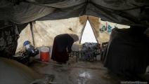مخيمات شمال غرب سورية (عامر السيد علي)