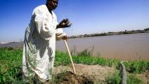 زراعة السودان (أشرف الشاذلي/فرانس برس)