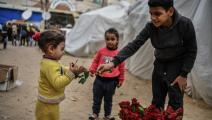 طفل يبيع الورد في مخيم - القسم الثقافي