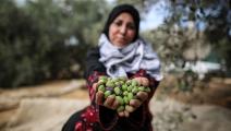 مزراعة فلسطينية - القسم الثقافي