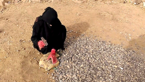 تعمل في تفتيت الأحجار في اليمن- وفاء المطري