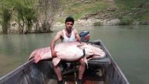 اصطاد سمكة تزن 175 كغ فتم اعتقاله في العراق