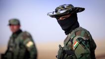 قوات كردية/ العراق/ سياسة/ 06 - 2014