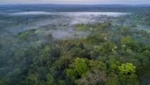 غابات الأمازون  Ignacio Palacios