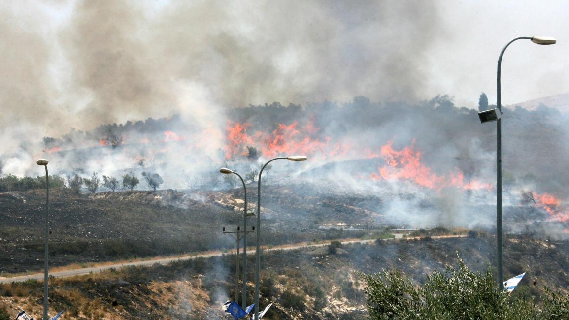 مستوطنون يحرقون أكثر من م ائة شجرة زيتون بالضفة الغربية (Getty)