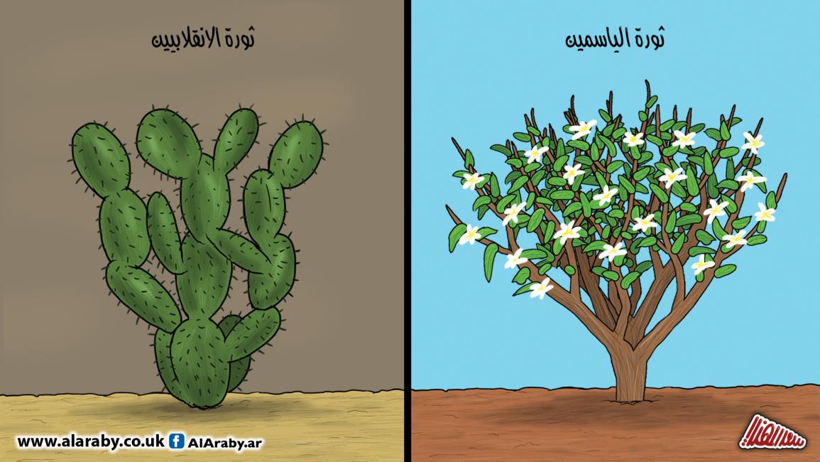 كاريكاتير ثورة الياسمين / المهندي