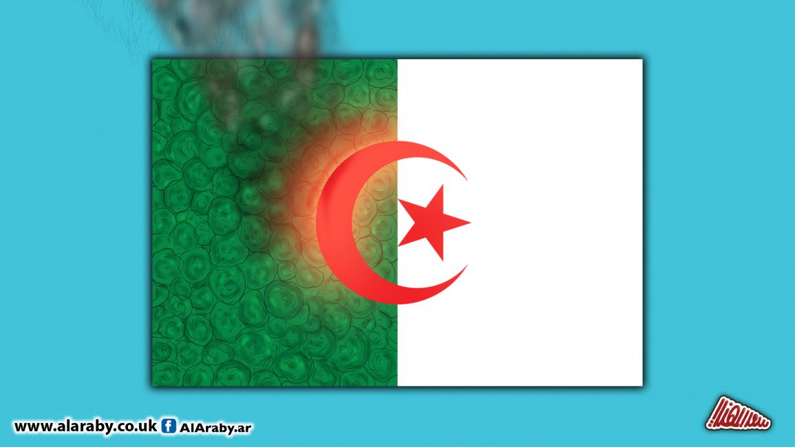 كاريكاتير حرائق الجزائر / المهندي