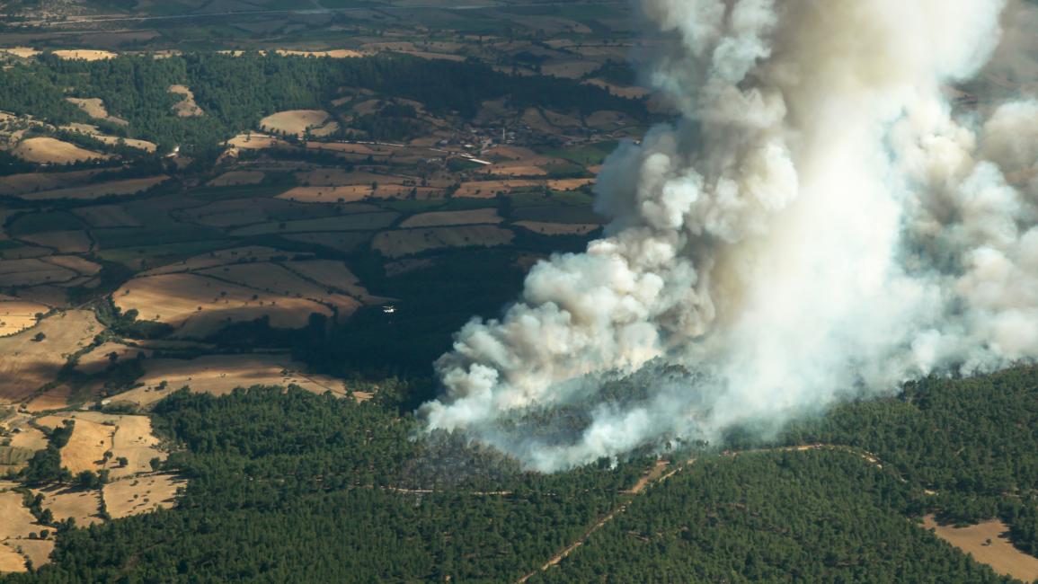 أزالت الحرائق غابات كاملة في الأمازون (Getty)