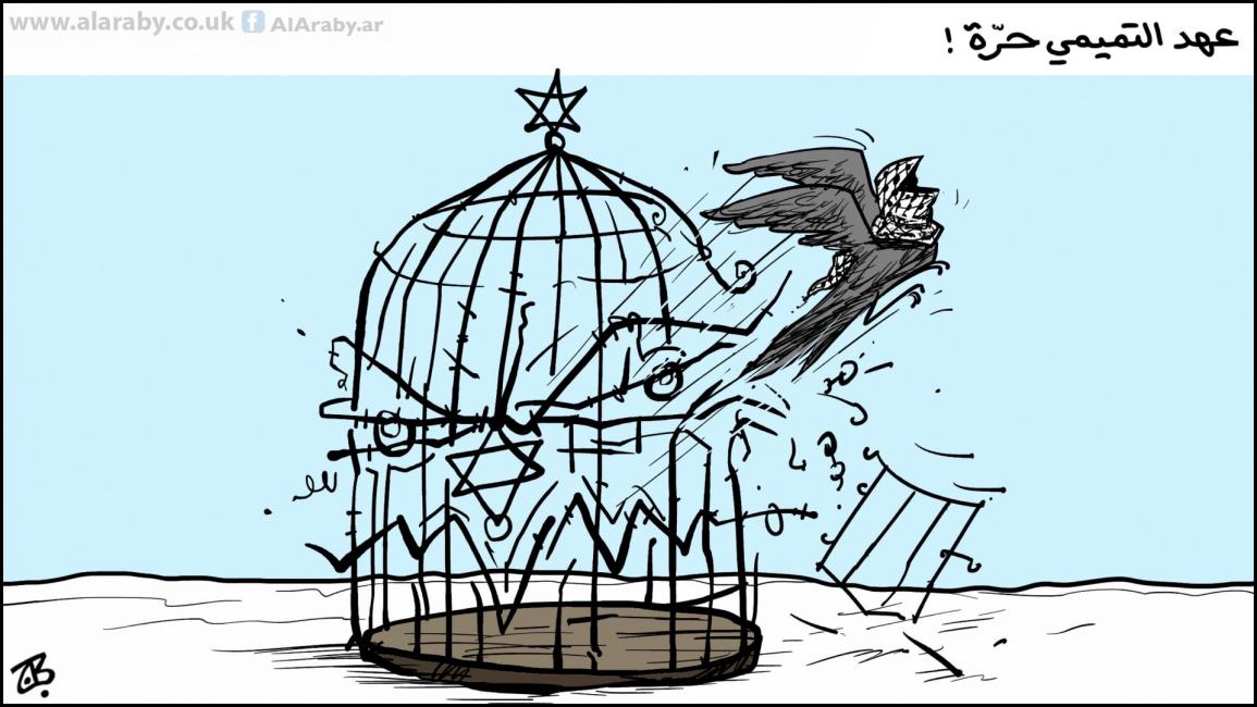 كاريكاتير عهد التميمي حرة / حجاج