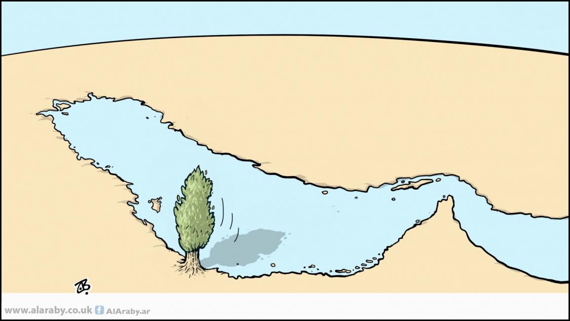 كاريكاتير صمود قطر / حجاج