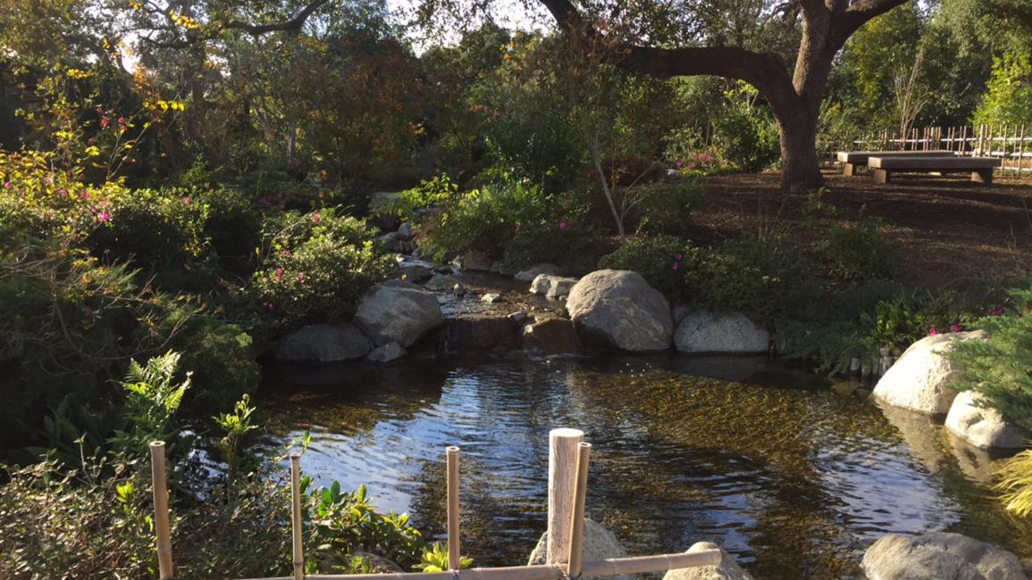 حديقة هنتنغتون في كاليفورنيا