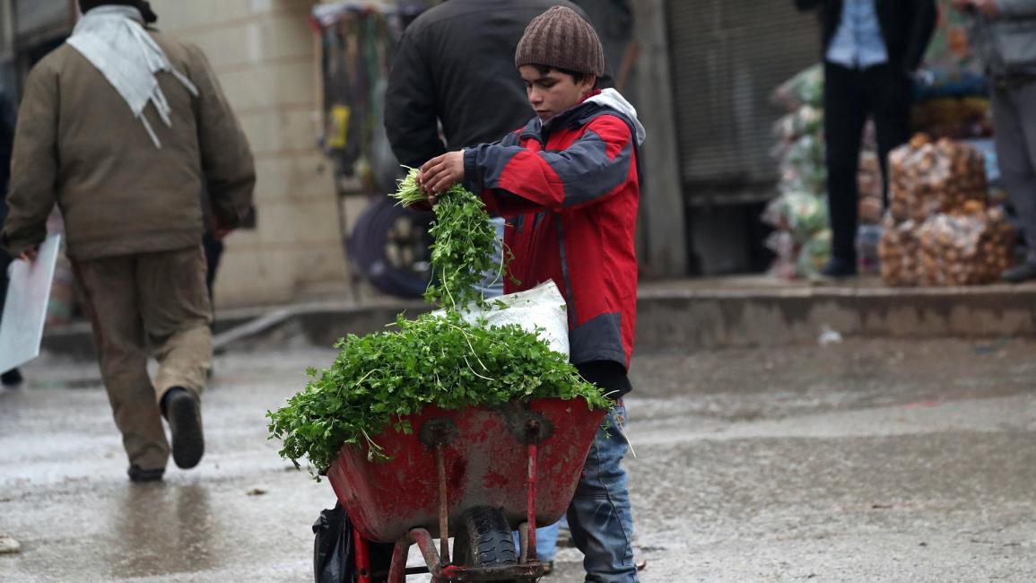 صبي يبيع بقدونس في شمال سورية - مجتمع