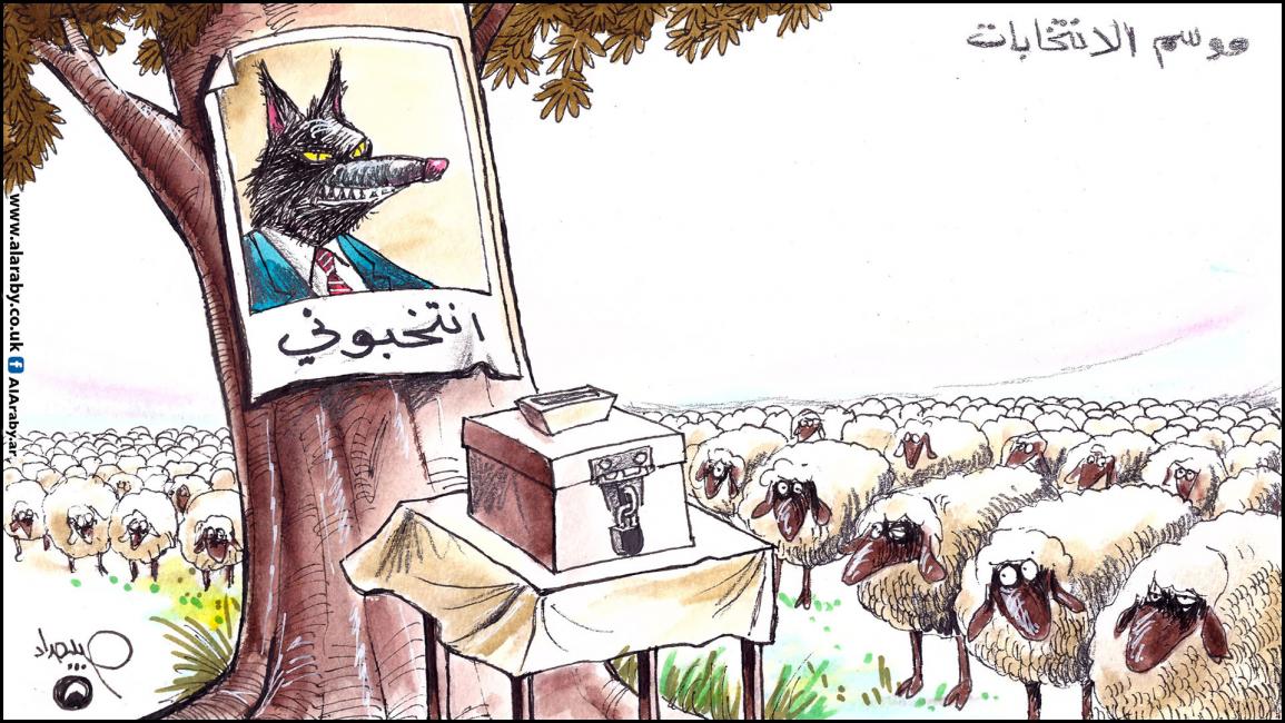 كاريكاتير انتخابات الذئب / حبيب
