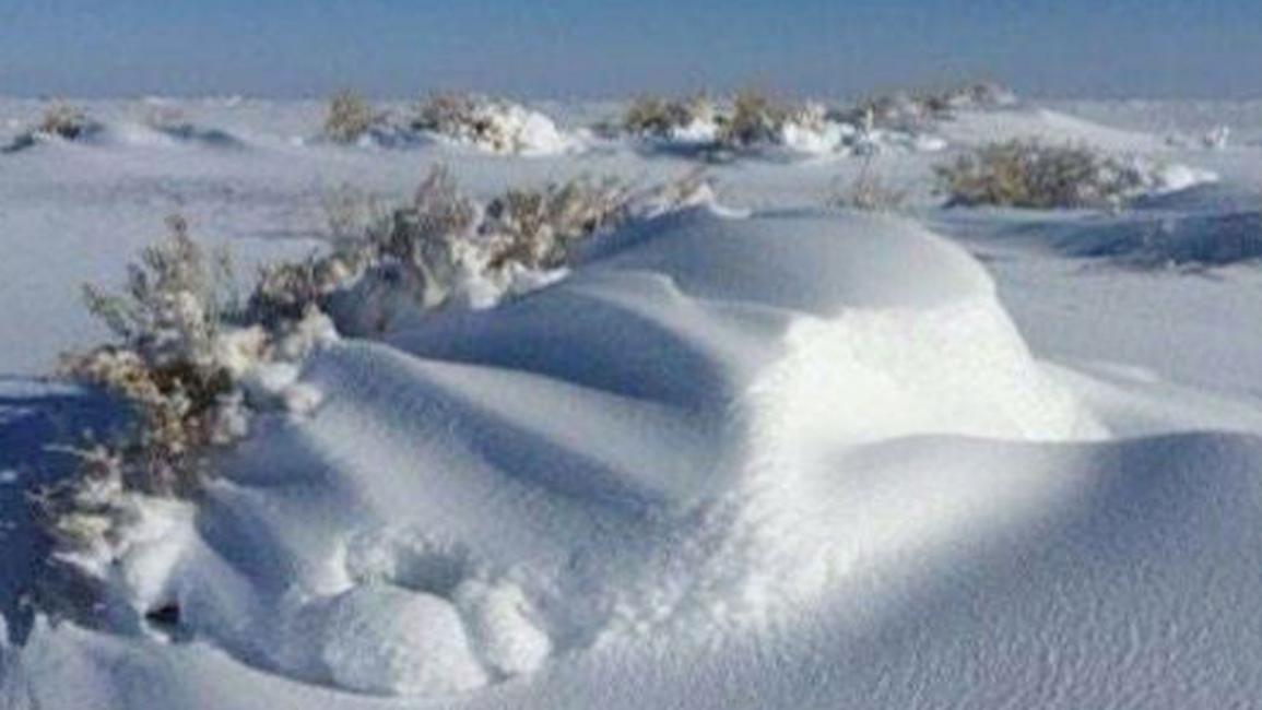 الثلوج تغطي شمال السعودية.. وحالة طوارئ في تبوك