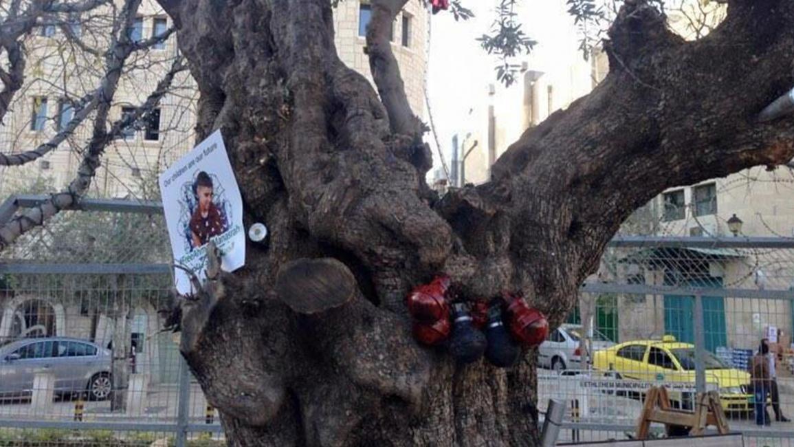 "شجرة الحياة مقاومة".. رسالة الفلسطينين في أعياد الميلاد