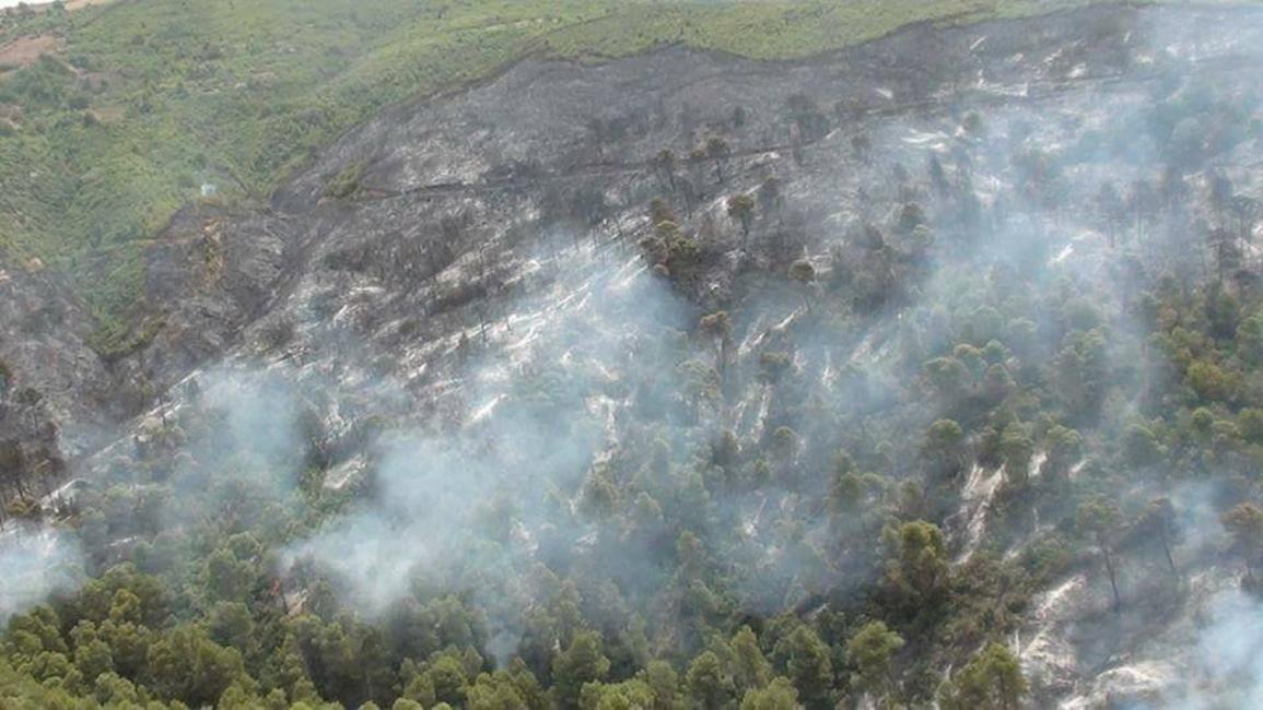 حرائق الغابات في الجزائر وتونس