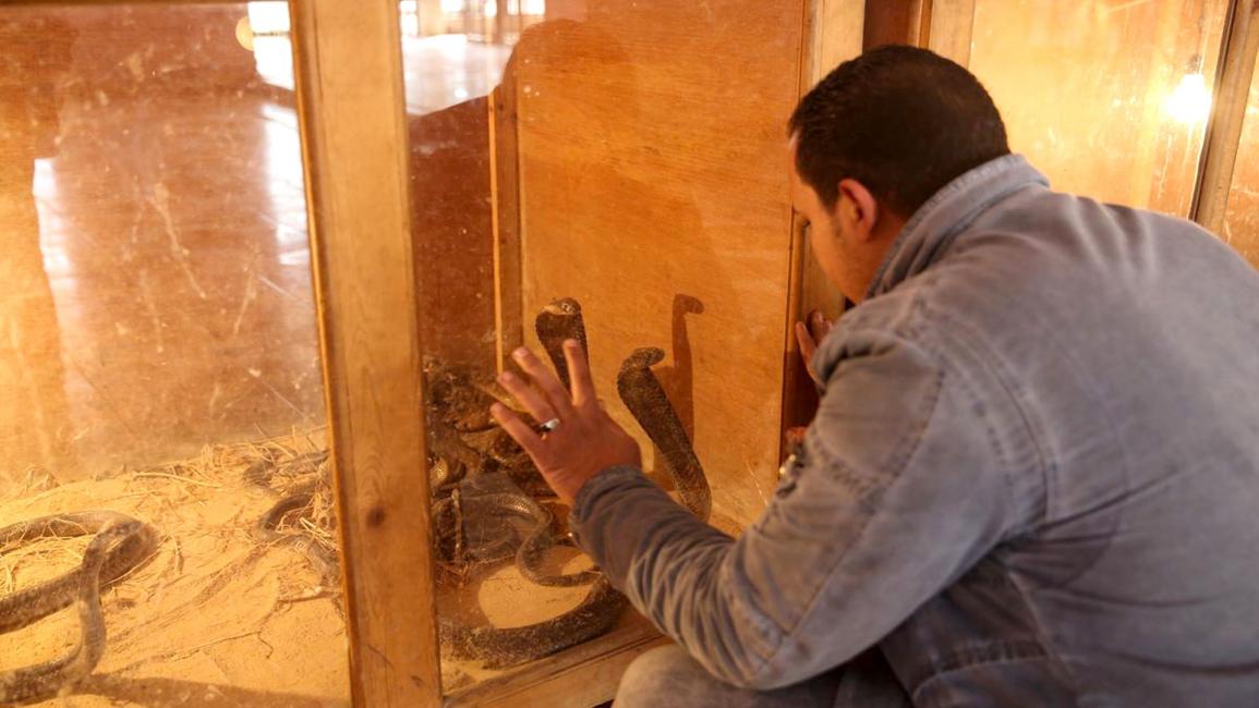 منزل مصري يستضيف "حديقة حيوانات" منذ نصف قرن