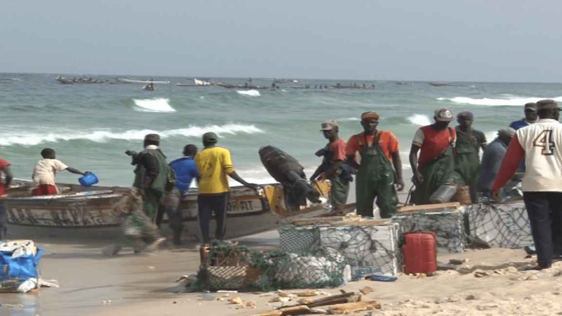 ارتفاع أسعار الأسماك في موريتانيا (العربي الجديد)
