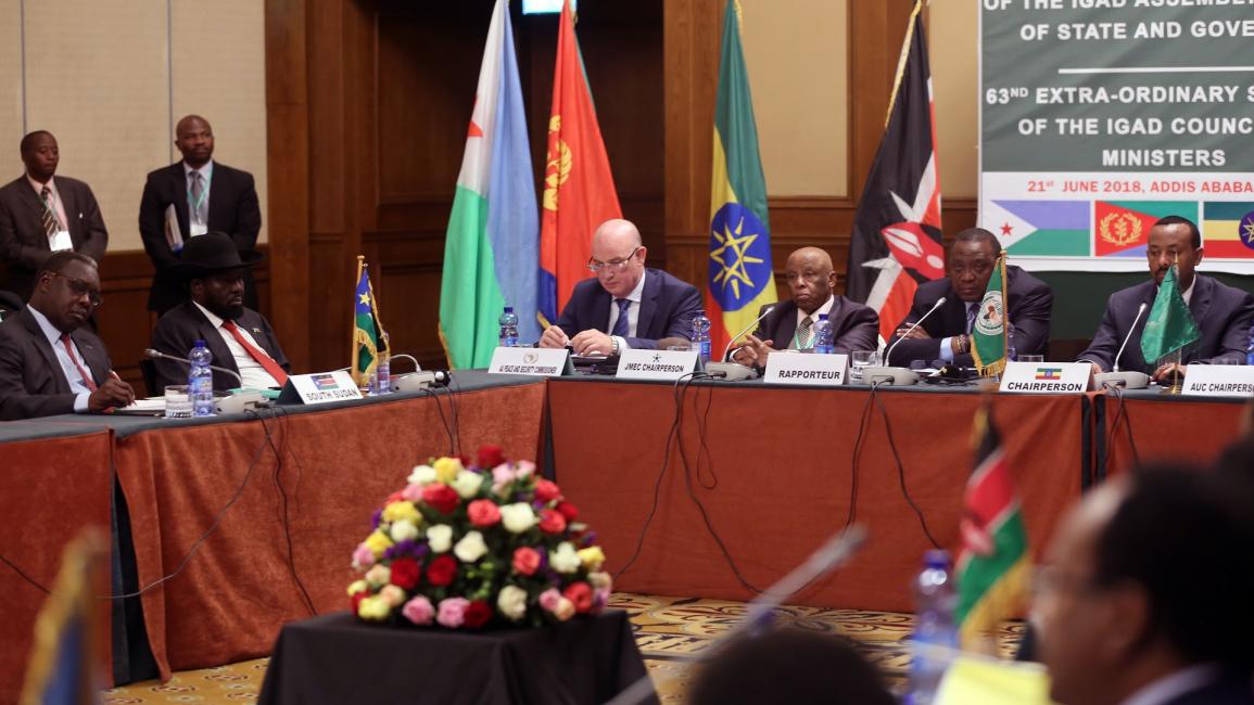 إثيوبيا/محادثات جنوب السودان/ميناس ونديمو هايلو/الأناضول