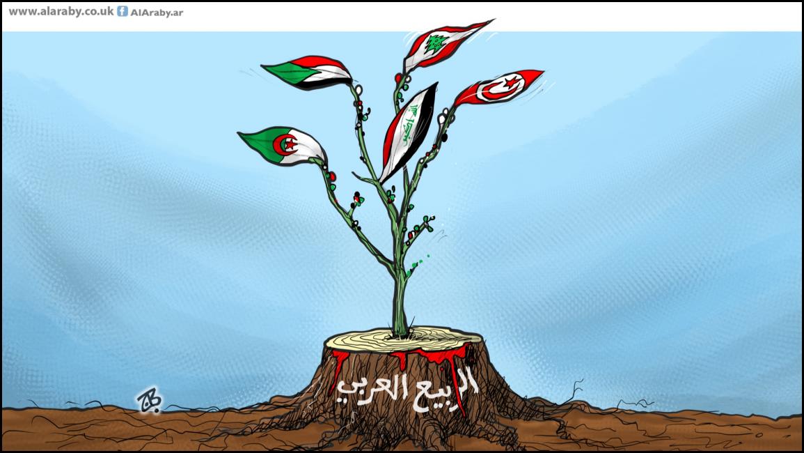 كاريكاتير الربيع العربي / حجاج