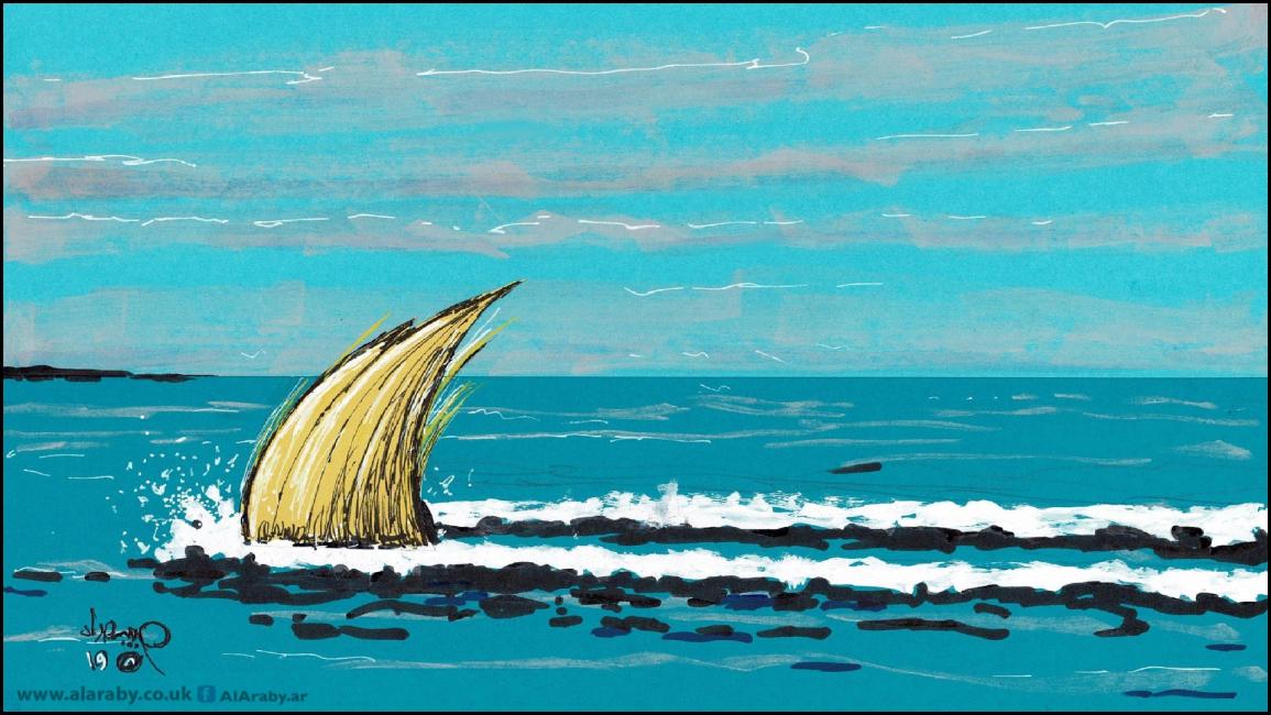 كاريكاتير القرش ترامب / حبيب