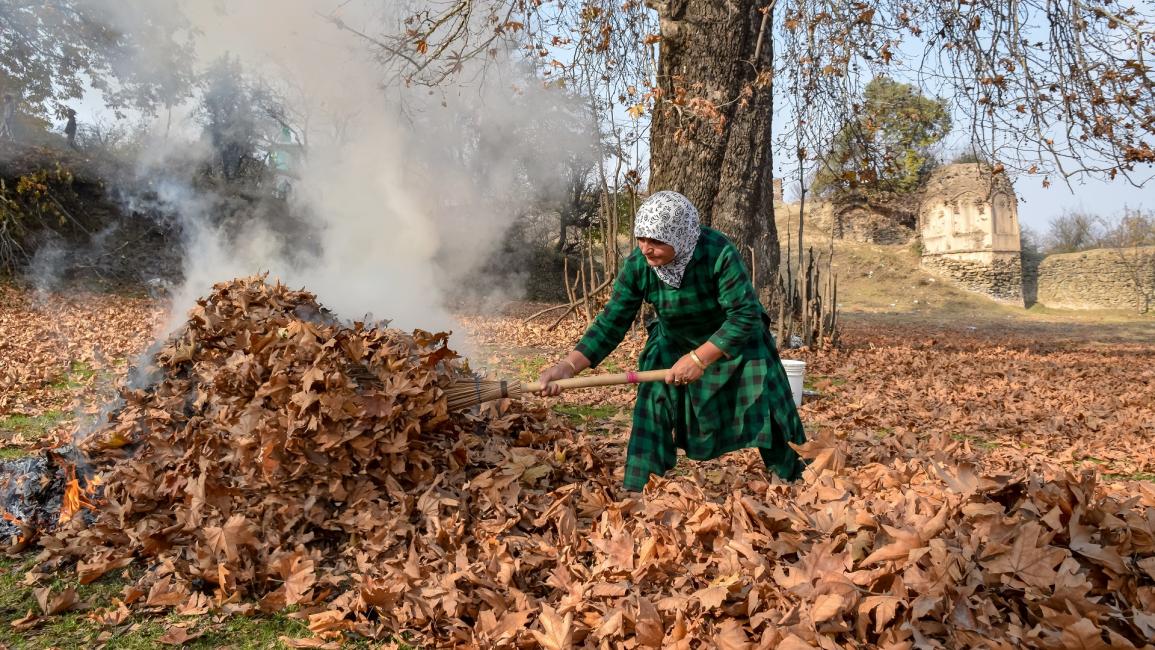 امرأة وأوراق قيقب في كشمير الهندية - مجتمع