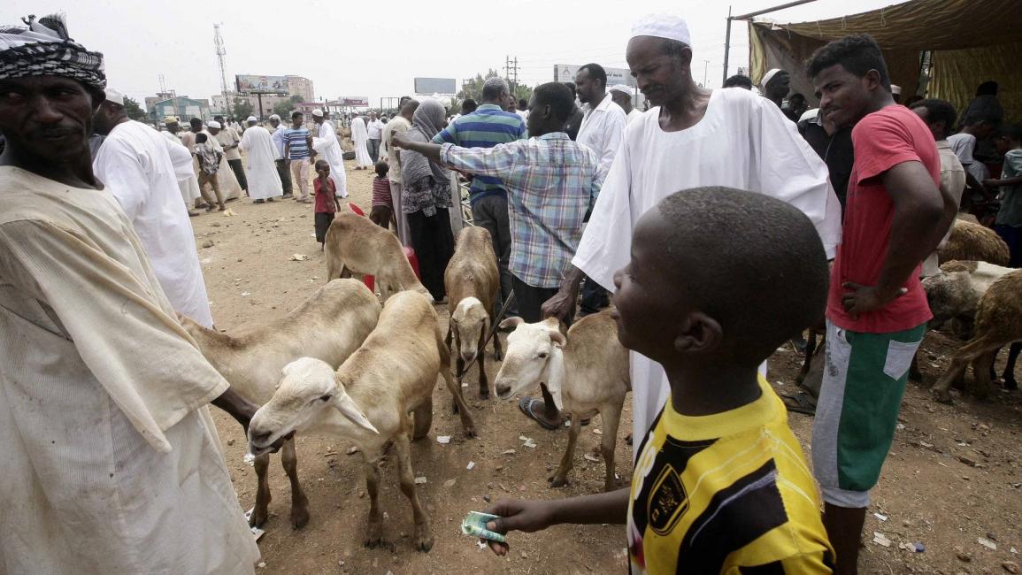 سوق ماشية قبل عيد الأضحى في السودان - مجتمع