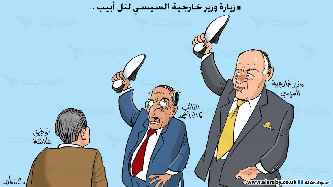 كاريكاتير وزير الخارجية / علاء