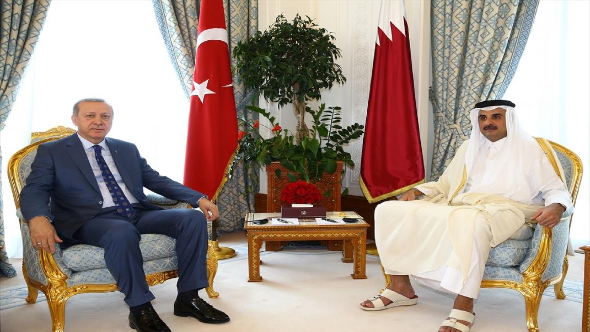 أردوغان - أمير قطر (الأناضول)
