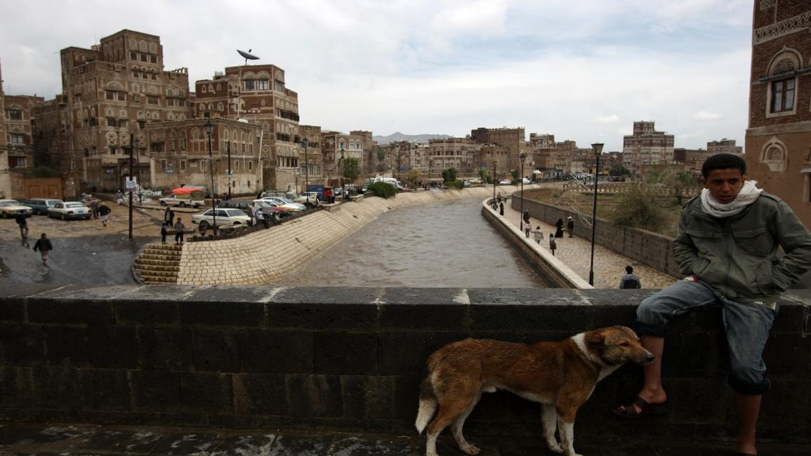 الكلاب في اليمن