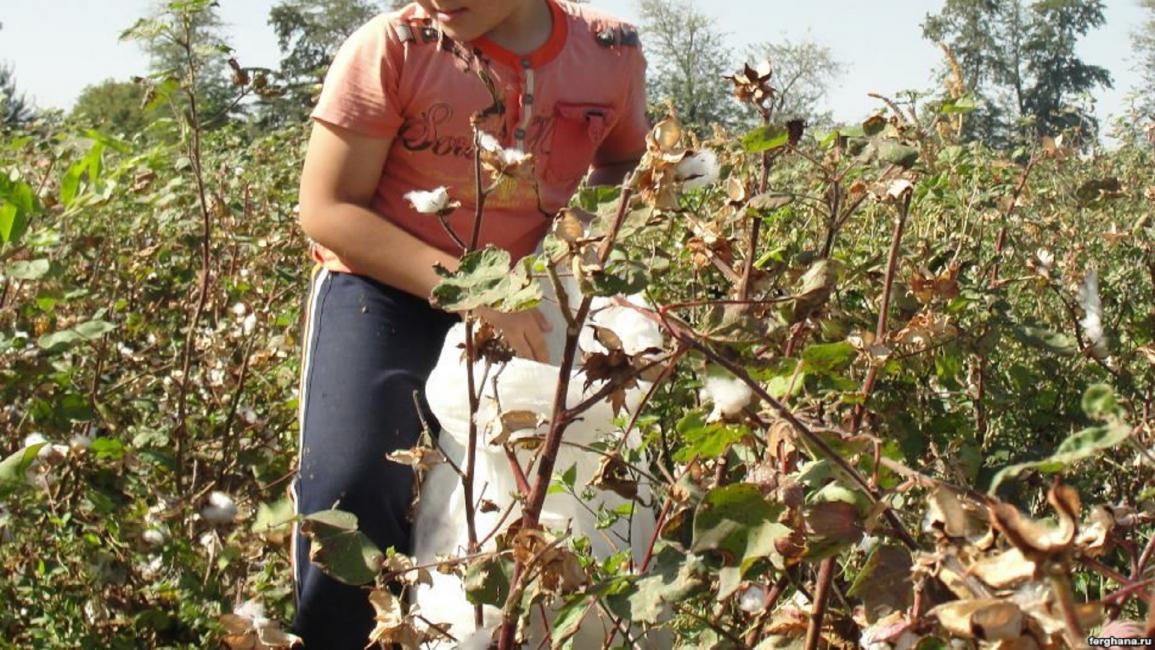 أطفال يعملون في زراعة القطن(تويتر)