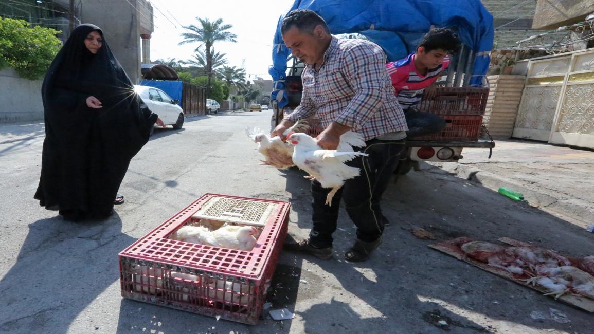 بائع دجاج في بغداد- فرانس برس
